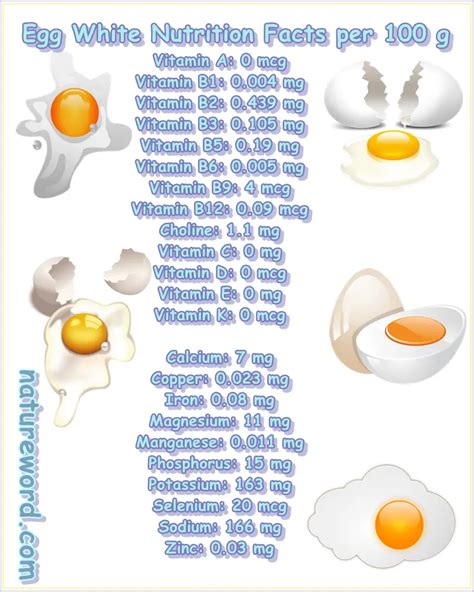 Egg White Nutrition Facts Per 100 Grams Natureword