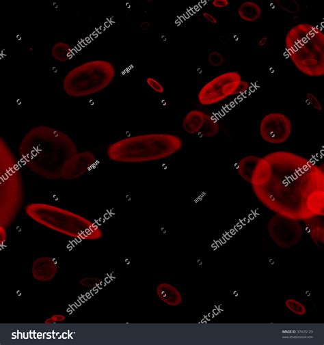 Red Blood Cells Seen Through A Microscope Stock Photo 37435129