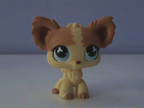 Who Is Your Favorite Littlest Pet Shop Popular Character Poll Results