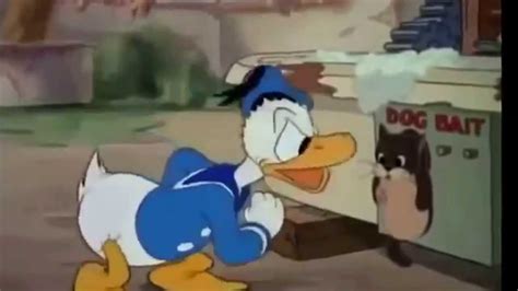 Donald Duck Cartoons Full Episodes Donald Duck Chip And Dale Youtube