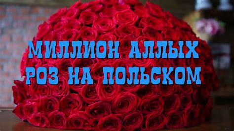 Польша Песня миллион алых роз на Польском Алла Пугачева youtube