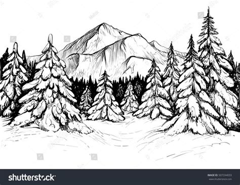 Winter Forest Sketch Black And White Vector Illustration Of Snowy Firs