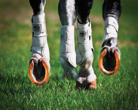 Technological Advances In Horseshoes And Innovative Concepts In Shoeing