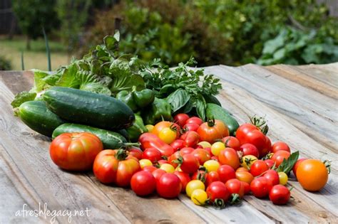 How to make your summer garden harvests extend into autumn