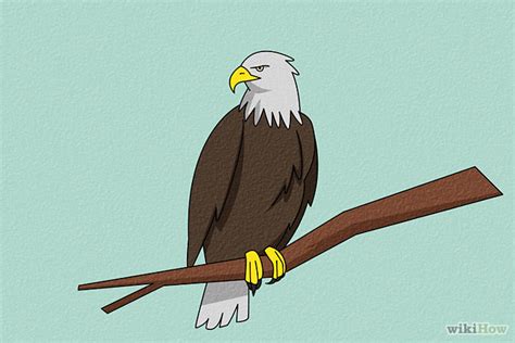 Cara Menggambar Burung Elang Karikatur