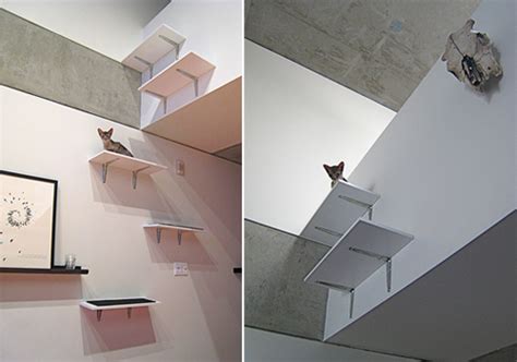 Popular items for cat climbing shelves. Cat Shelves for a Modern Loft • hauspanther