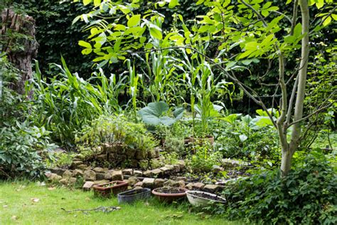We did not find results for: Mein eigener Bio Gemüse Garten - Antonella's Backblog