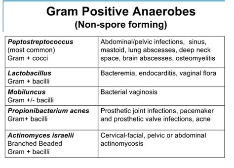 Important Anaerobes Bacterial Infections