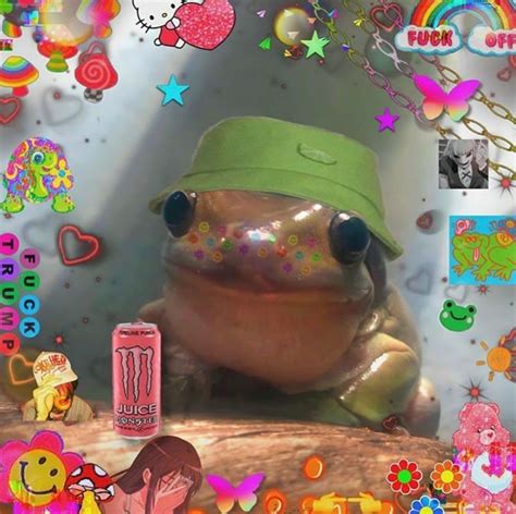 Pin By Avery Kyles On My Aesthetic Frog Pictures Cute Frogs Frog