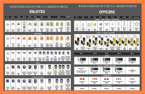 Us Military Rank Insignia Enlisted And Officer Militar