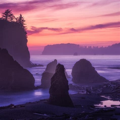 Deep Violets And Pinks Overtake The Sky At Olympic National Park In