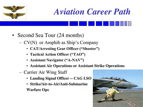 Army Aviation Officer Career Path