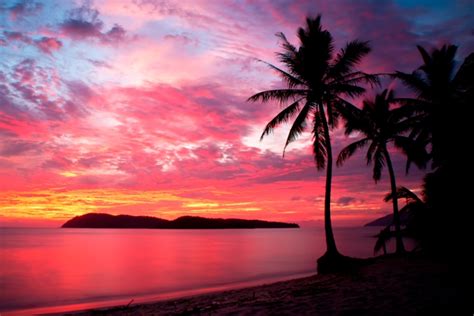 Pretty Caribbean Pink Sand Beaches - Beaches Picture (211652)