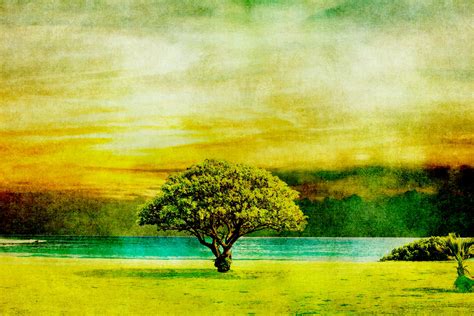 Tree Vintage Sunset Painting Free Stock Photo Public Domain Pictures