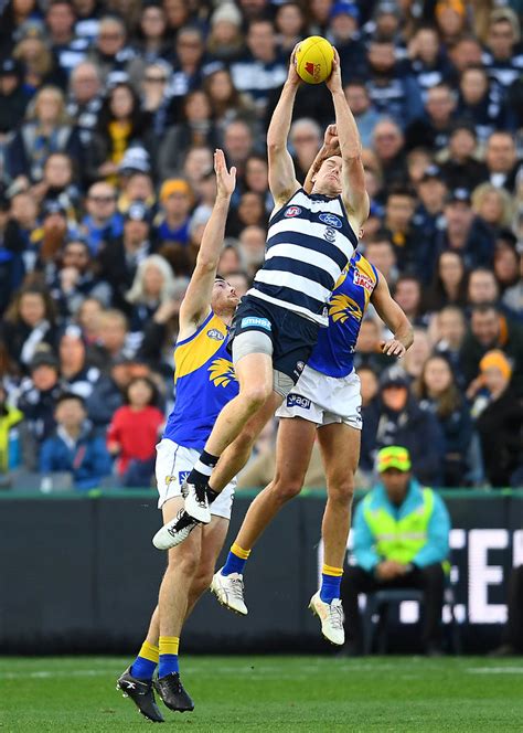 Former cats physiotherapist madi bennett has been cast into the spotlight on afl football's biggest stage. Cats clean sweep votes - geelongcats.com.au