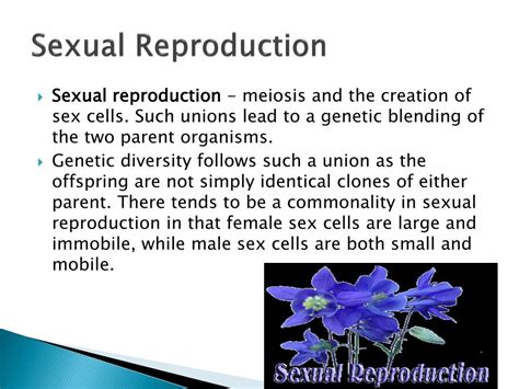 Ppt Human Reproduction Powerpoint Presentation Free Download Id1951667