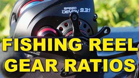 All About Fishing Reel Gear Ratios The Definitive Guide Kastking Bass Fishing Youtube