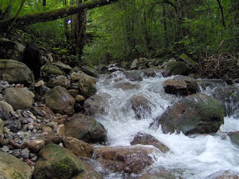 Free Download Mini Riverbabbling Brook Flickr Photo Sharing 2048x1536