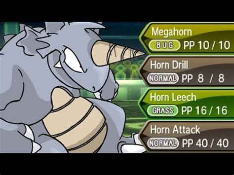 .the big horn pokemon type. FULL POKEMON HORN MOVES TEAM! - YouTube