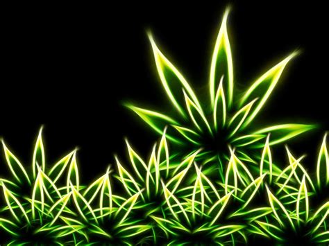 Ps4 4k Weed Wallpapers Top Free Ps4 4k Weed Backgrounds