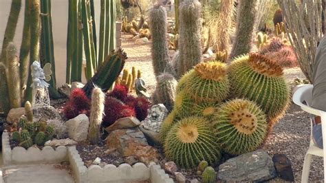 Xeriscaping And Growing Cactus Desert Garden Care