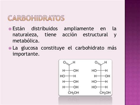 Carbohidratos Estructura 2