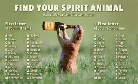What39s Your Spirit Animal