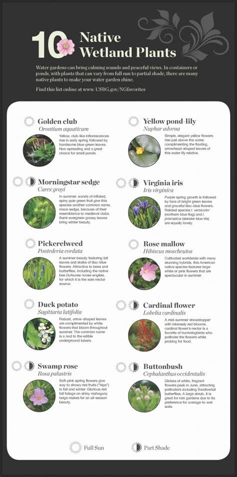 National Garden Native Plant Recommendations United