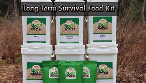 8 Best Long Term Survival Food Kits That You Can Avail Saving Gain