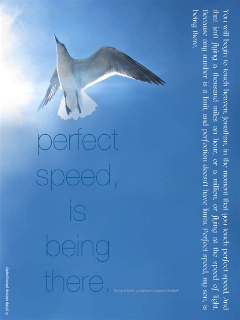 A Mused Perfect Speed Is Being There You Will Begin To