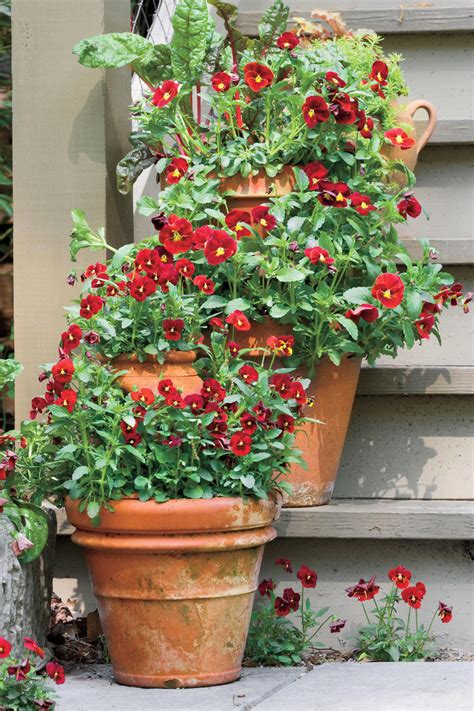 124 Container Gardening Ideas Southern Living