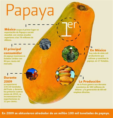 Más Típico Imposible La Papaya Una Fruta Mágica