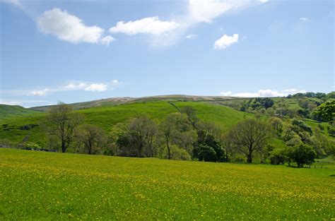 Summer Landscape Free Stock Photo Public Domain Pictures