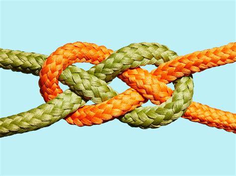 The Figure Shows Three Ropes Tied Together In A Knot