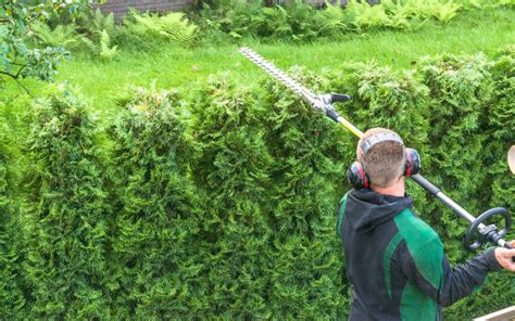Five Reasons To Hire A Professional Landscaper Landscaping Fort Wayne