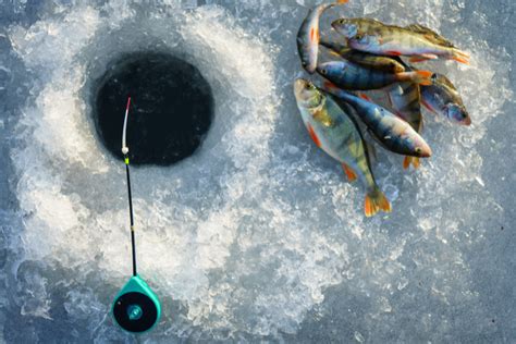 How To Go Ice Fishing The Complete Guide Updated