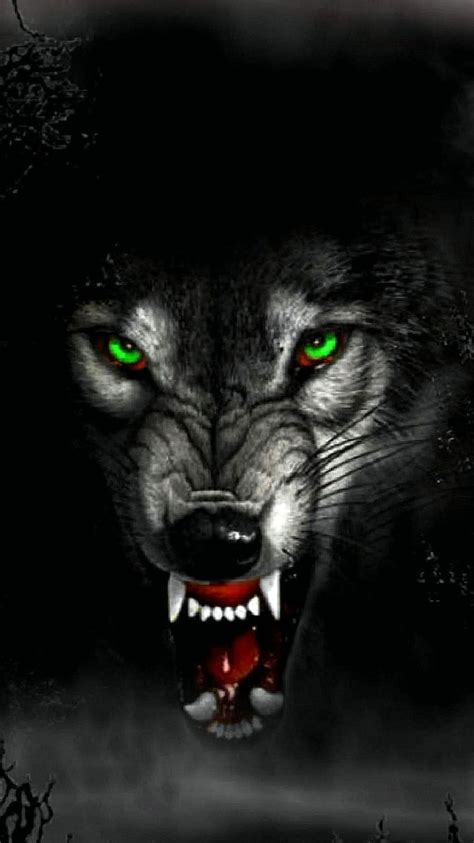 Angry Wolf Mad Face HD Phone Wallpaper Pxfuel