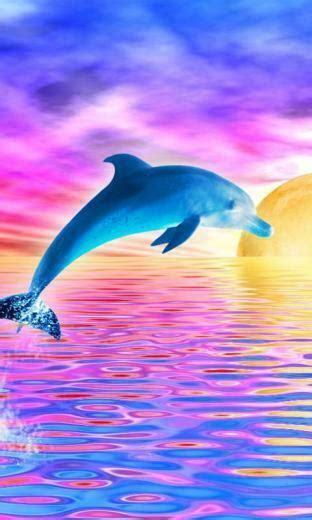 Free Download Coral Reef In This Animated Wallpaper App Dolphin Live
