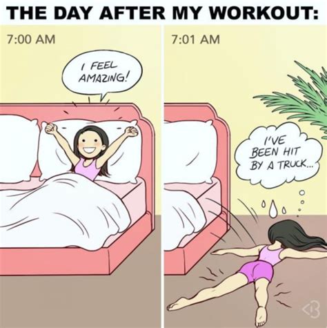 funny workout memes for your fitness journey 25 memes fitness quotes funny gym humor