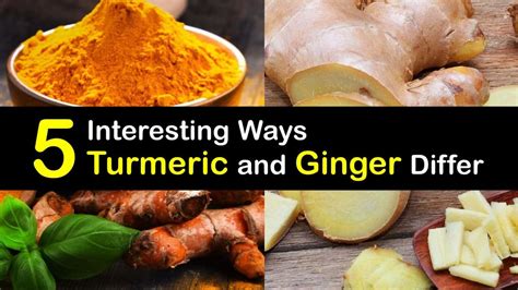 Are Ginger And Turmeric The Same
