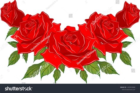 Bouquet Beautiful Red Roses Vector Stock Vector Royalty Free