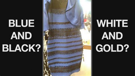The Funniest Memes To Come Out Of Thedress Debate On Whether A Particular Dress Is White And