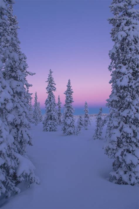 Nordic Winter Wallpapers Top Free Nordic Winter Backgrounds