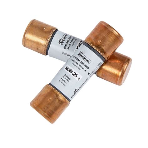 Cooper Bussmann 2 Pack 25 Amp Fast Acting Cartridge Fuse In The Fuses