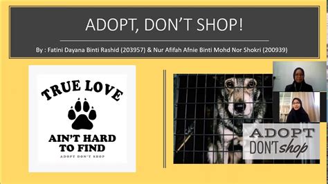 Ap Video Adopt Dont Shop Youtube