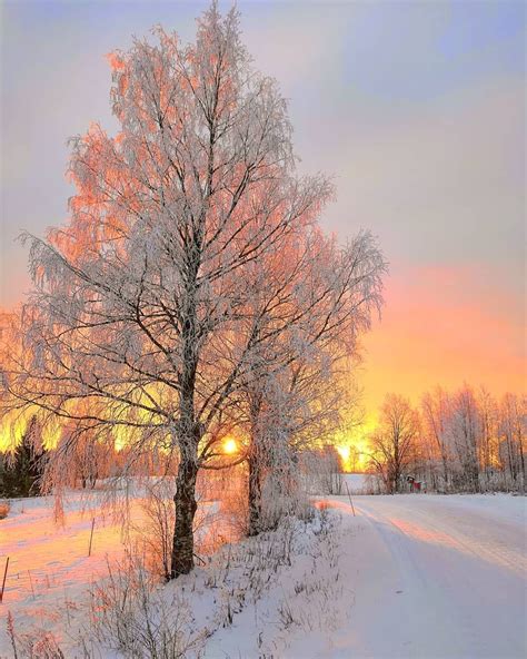 🇫🇮 Sunny Winter Morning Finland By Galina Koponen Galinakoponen On