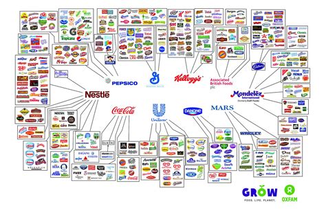 Companies That Control The Food Industry Daily Infographic