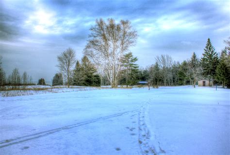 Landscape Of Snow At Newport State Park Wisconsin Image Free Stock