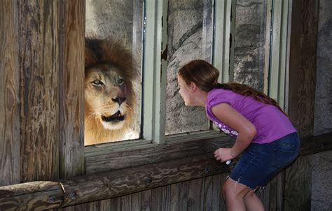 Cameron Park Zoo Waco Tx Cameron Park Waco Waco Texas