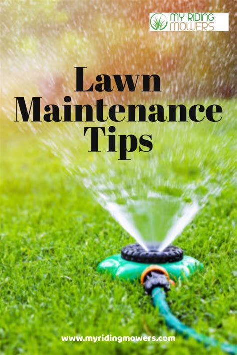 Lawn Maintenance For Early Spring And Summer Lawn Maintenance Lawn